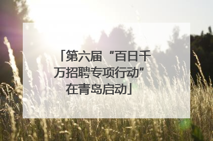 第六届“百日千万招聘专项行动”在青岛启动