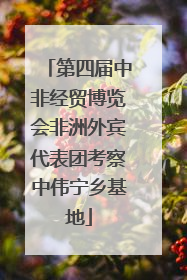 第四届中非经贸博览会非洲外宾代表团考察中伟宁乡基地