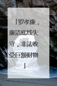 罗孝廉，廉洁底线失守，非法收受巨额财物