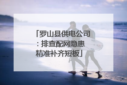 罗山县供电公司：排查配网隐患 精准补齐短板