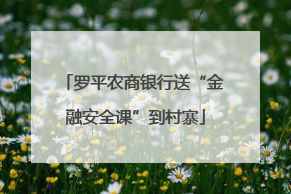 罗平农商银行送“金融安全课”到村寨
