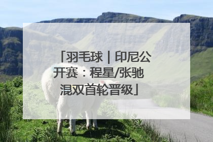 羽毛球｜印尼公开赛：程星/张驰混双首轮晋级