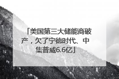 美国第三大储能商破产，欠了宁德时代、中集普威6.6亿