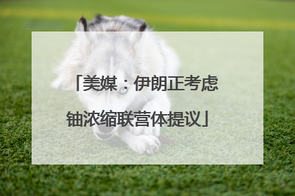 美媒：伊朗正考虑铀浓缩联营体提议