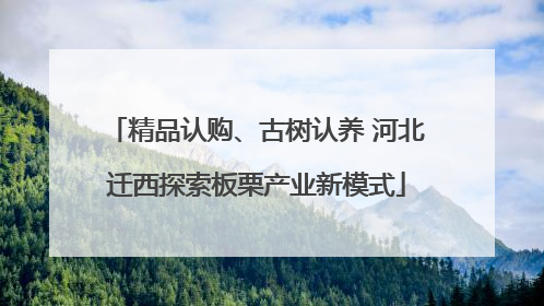 精品认购、古树认养 河北迁西探索板栗产业新模式