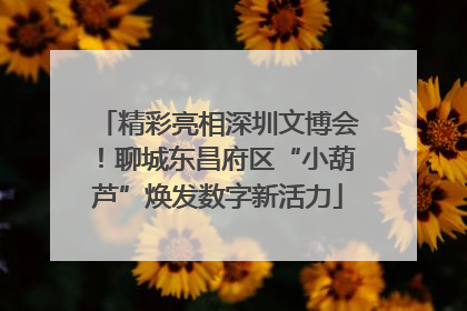 精彩亮相深圳文博会！聊城东昌府区“小葫芦”焕发数字新活力