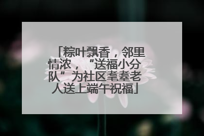 粽叶飘香，邻里情浓，“送福小分队”为社区耄耋老人送上端午祝福