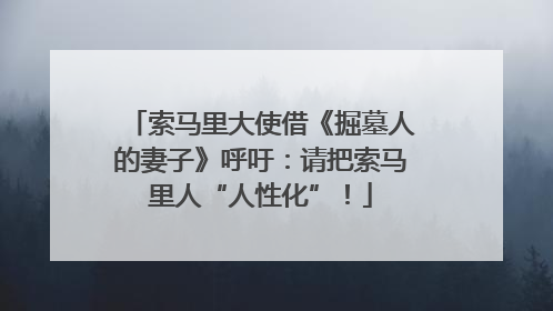 索马里大使借《掘墓人的妻子》呼吁：请把索马里人“人性化”！