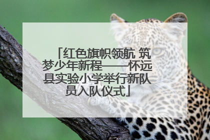 红色旗帜领航 筑梦少年新程——怀远县实验小学举行新队员入队仪式