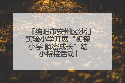 绵阳市安州区沙汀实验小学开展“初探小学 解密成长”幼小衔接活动