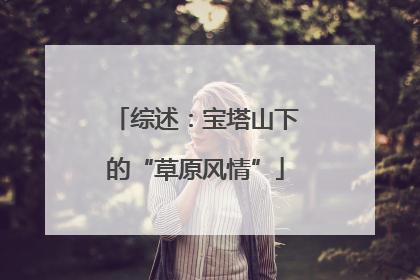 综述：宝塔山下的“草原风情”