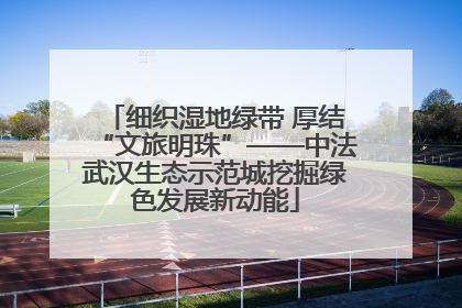 细织湿地绿带 厚结“文旅明珠”——中法武汉生态示范城挖掘绿色发展新动能