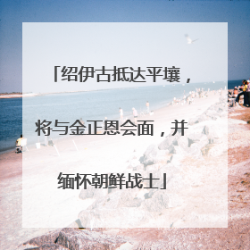绍伊古抵达平壤，将与金正恩会面，并缅怀朝鲜战士