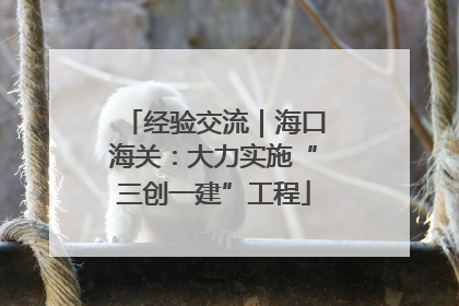 经验交流｜海口海关：大力实施“三创一建”工程