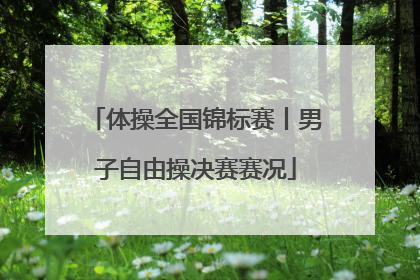 体操全国锦标赛丨男子自由操决赛赛况