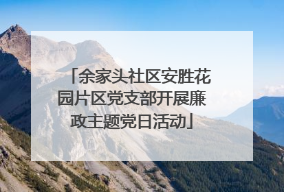 余家头社区安胜花园片区党支部开展廉政主题党日活动