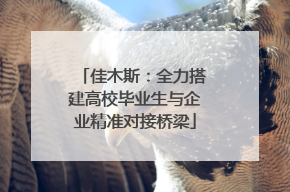 佳木斯：全力搭建高校毕业生与企业精准对接桥梁