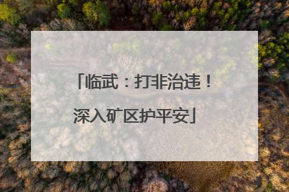 临武：打非治违！深入矿区护平安
