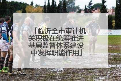 临沂全市审计机关积极在统筹推进基层监督体系建设中发挥职能作用