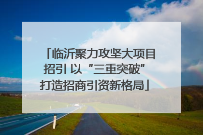 临沂聚力攻坚大项目招引 以“三重突破”打造招商引资新格局