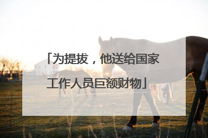 为提拔，他送给国家工作人员巨额财物