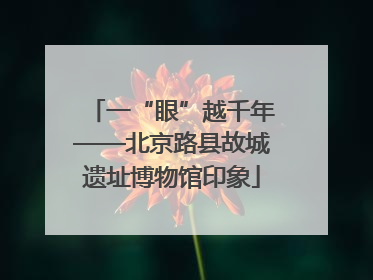 一“眼”越千年——北京路县故城遗址博物馆印象