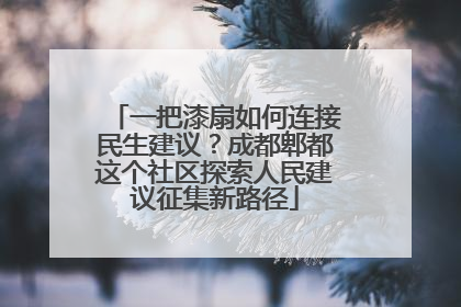 一把漆扇如何连接民生建议？成都郫都这个社区探索人民建议征集新路径