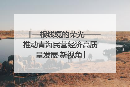 一根线缆的荣光——推动青海民营经济高质量发展·新视角