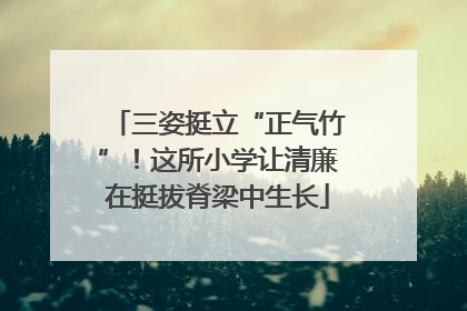 三姿挺立“正气竹”！这所小学让清廉在挺拔脊梁中生长
