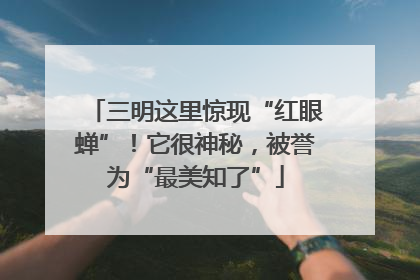 三明这里惊现“红眼蝉”！它很神秘，被誉为“最美知了”