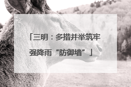 三明：多措并举筑牢强降雨“防御墙”