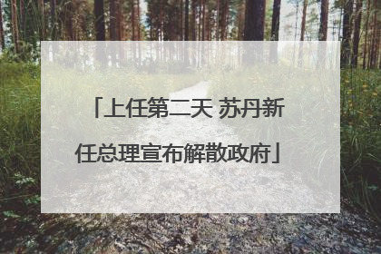 上任第二天 苏丹新任总理宣布解散政府