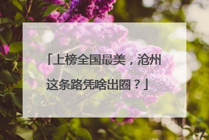上榜全国最美，沧州这条路凭啥出圈？