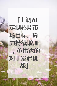 上调AI定制芯片市场目标、算力持续增加，英伟达的对手发起挑战