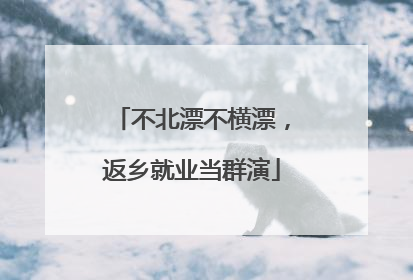 不北漂不横漂，返乡就业当群演