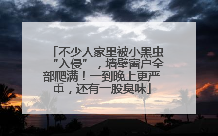 不少人家里被小黑虫“入侵”，墙壁窗户全部爬满！一到晚上更严重，还有一股臭味