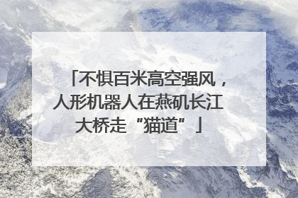 不惧百米高空强风，人形机器人在燕矶长江大桥走“猫道”