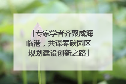 专家学者齐聚威海临港，共谋零碳园区规划建设创新之路