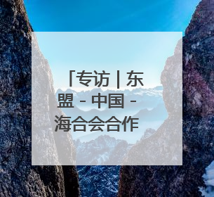 专访｜东盟－中国－海合会合作将惠及全球贸易与投资——访马来西亚亚太“一带一路”共策会高级研究员本恩·纳戈拉