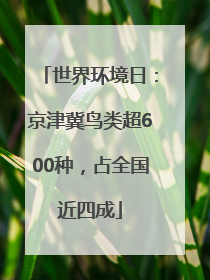 世界环境日：京津冀鸟类超600种，占全国近四成