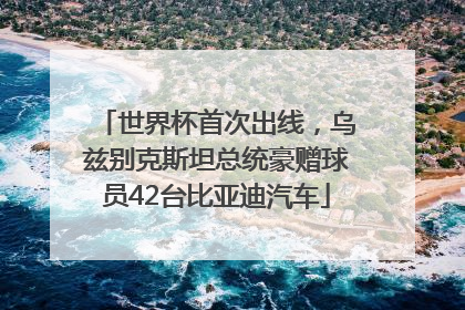 世界杯首次出线，乌兹别克斯坦总统豪赠球员42台比亚迪汽车