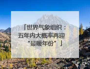 世界气象组织：五年内大概率再迎“最暖年份”