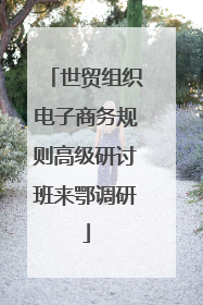世贸组织电子商务规则高级研讨班来鄂调研