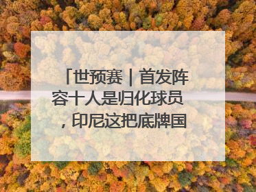 世预赛｜首发阵容十人是归化球员，印尼这把底牌国足如何应对？