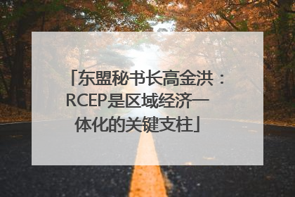 东盟秘书长高金洪：RCEP是区域经济一体化的关键支柱