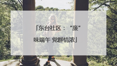东台社区：“廉”味端午 党群情浓