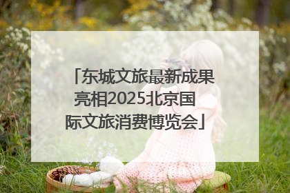 东城文旅最新成果亮相2025北京国际文旅消费博览会