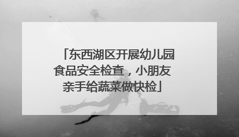 东西湖区开展幼儿园食品安全检查，小朋友亲手给蔬菜做快检