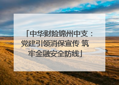 中华财险锦州中支：党建引领消保宣传 筑牢金融安全防线
