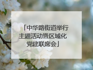 中华路街道举行主题活动暨区域化党建联席会